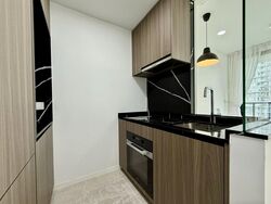 Irwell Hill Residences (D9), Apartment #579097881